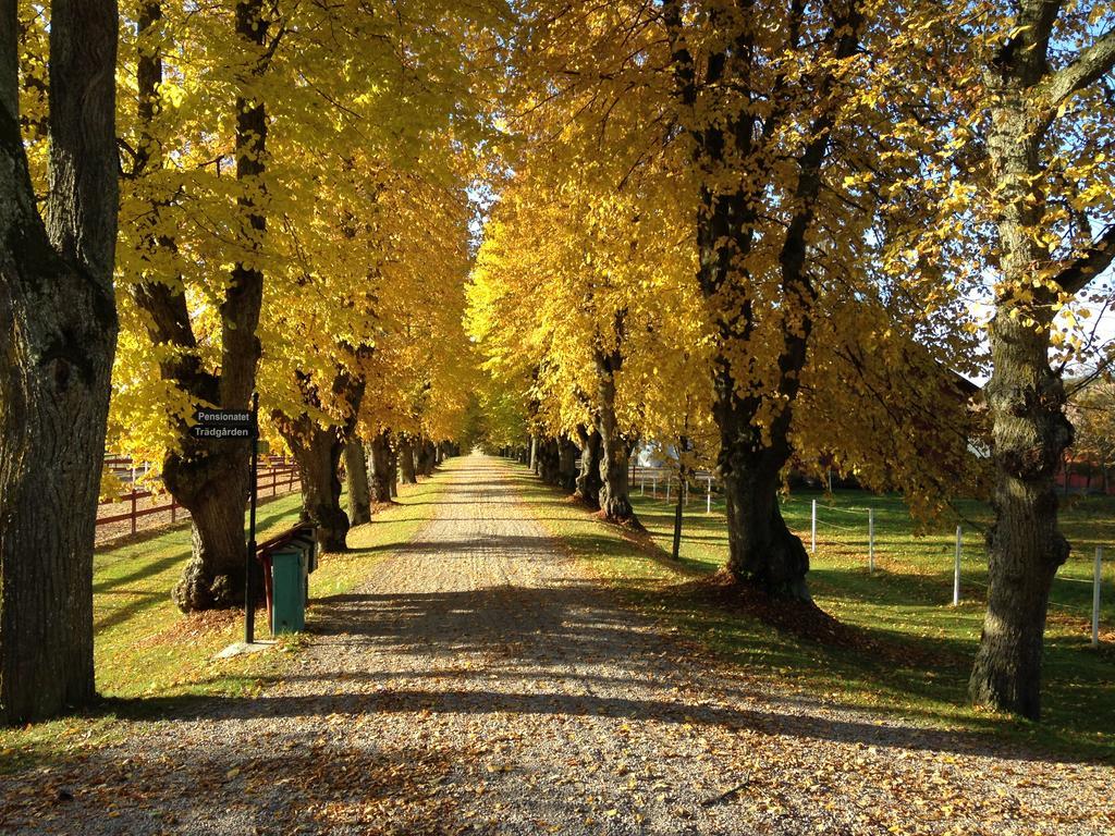 Runnvikens Pensionat Tystberga 外观 照片